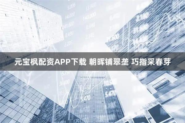 元宝枫配资APP下载 朝晖铺翠垄 巧指采春芽