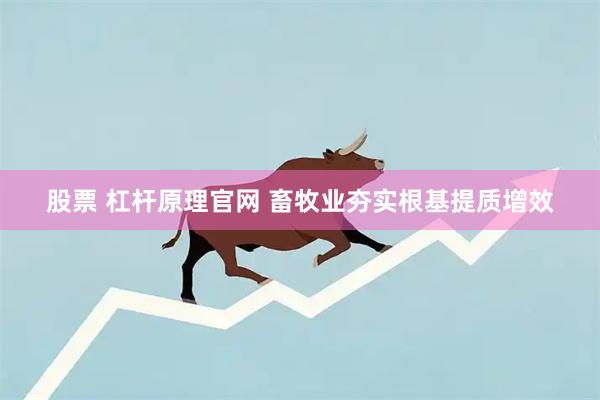 股票 杠杆原理官网 畜牧业夯实根基提质增效