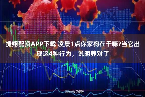 捷翔配资APP下载 凌晨1点你家狗在干嘛?当它出现这4种行为，说明养对了
